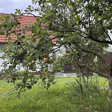 Holiday home In Village *